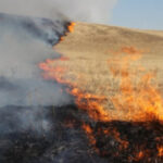 un iesean incearca de mai bine de un an sa demonstreze in fata judecatorilor ca a fost amendat de un politist din dusmanie 6874f4a6ed9ba