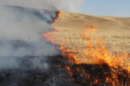 un iesean incearca de mai bine de un an sa demonstreze in fata judecatorilor ca a fost amendat de un politist din dusmanie 6874f4a6ed9ba