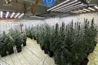 un politist din dambovita cercetat pentru trafic de droguri ce au gasit la el acasa colegii politisti muncea cu nevasta video 6888ea5d5eecd