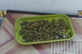 un tanar din barnova a fost condamnat la o pedeapsa cu suspendare cu toate ca asupra lui s a gasit o cantitate de droguri cat la un dealer obisnuit 686f099ee4e0a