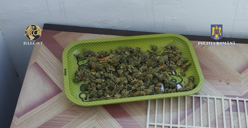 un tanar din barnova a fost condamnat la o pedeapsa cu suspendare cu toate ca asupra lui s a gasit o cantitate de droguri cat la un dealer obisnuit 686f099ee4e0a