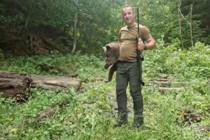 unul dintre cei trei pui ai ursoaicei impuscate pe transfagarasan a fost capturat care va fi noua lui casa 686fd87743f4e