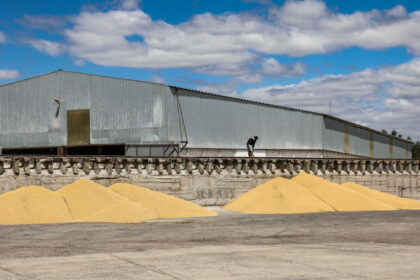 unul dintre cele mai mari terminale de cereale din ucraina aflat in portul odesa a fost preluat de investitori americani 6874a8a879dd2