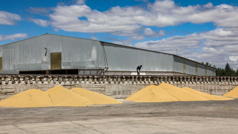 unul dintre cele mai mari terminale de cereale din ucraina aflat in portul odesa a fost preluat de investitori americani 6874a8a879dd2