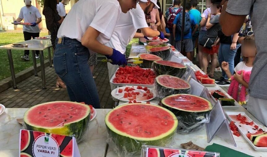 vedeta zilei de maine in copou harbuzul degustare din peste 30 de soiuri de pepeni pentru publicul larg la usv iasi 687ed848357d2