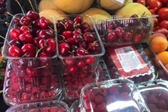 viata pusa in pericol de cateva cirese explicatiile unui nefrolog de la spitalul c i parhon iasi 6869021c3347b