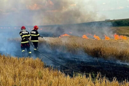 video alerta in oltenia 53 de incendii in decurs de 3 zile zeci de pompieri se lupta cu flacarile 750 de hectare mistuite 6875f2e1a5061