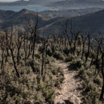 video cum alimenteaza schimbarile climatice incendiile de vegetatie din europa aproape 230 000 de hectare facute scrum in decursul a 6 luni 6877319f84eab