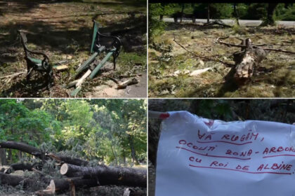 video imagini dezolante in marile parcuri ale bucurestiului copaci cazuti si amenajari distruse dupa furtuna primaria e de negasit 68824c07cd9b4