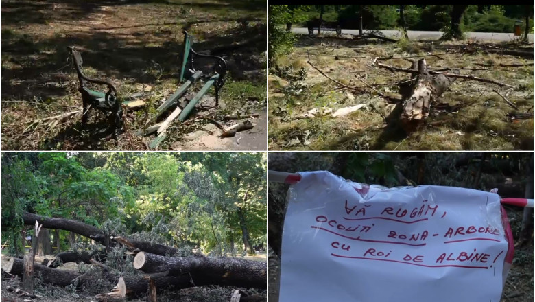 video imagini dezolante in marile parcuri ale bucurestiului copaci cazuti si amenajari distruse dupa furtuna primaria e de negasit 68824c07cd9b4