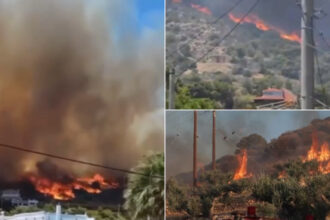 video incendii devastatoare in grecia si turcia doi morti in izmir mii de locuitori si turisti au fost evacuati 6867df7c3c514