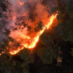 video incendiile devastatoare au distrus 3 din padurile siriei damascul a cerut ajutorul ue pentru a opri focarele 686d1335bafd4