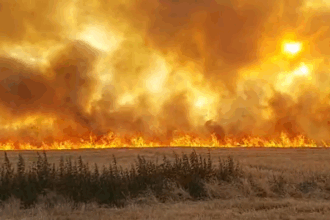 video incendiu puternic de vegetatie in galati flacarile ameninta sa cuprinda si o padure 6866ec0592920