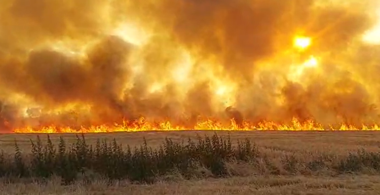 video incendiu puternic de vegetatie in galati flacarile ameninta sa cuprinda si o padure 6866ec0592920