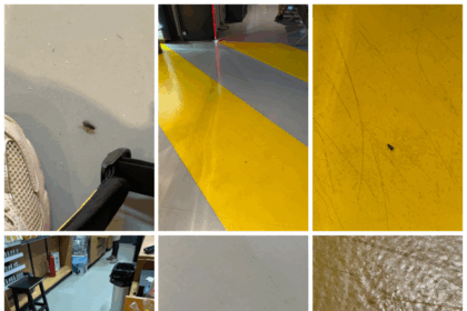 video invazie de gandaci la aeroportul international iasi contract gras de zeci de mii de euro pentru firma care se ocupa de dezinsectie 68860c240ea16