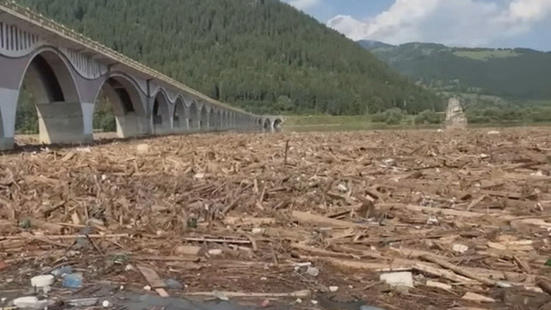 video pericol la barajul bicaz tone de lemne au fost aduse de viitura si au acoperit lacul ce spun autoritatile despre situatie 688b3a98affe8