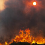 video romania trimite un elicopter black hawk in bulgaria sunt peste 100 de incendii de vegetatie in tara vecina 688724ad0045d