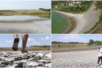 video seceta goleste lacurile din sudul romaniei cum arata astazi un lac de peste 40 de hectare din olt s a ales praful 688453f5933b8