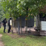 video suspectul crimei din mures cautat in judetul arad sunt perchezitii si la mai multe adrese din mures 68737dbc32038