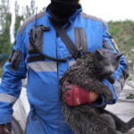 videofoto atac rusesc asupra kievului cel putin opt morti inclusiv un baiat de sase ani si 124 de raniti 688b51f8f2e89