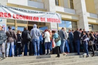 vrei sa lucrezi in strainatate afla ce limba trebuie sa stapanesti ca sa prinzi jobul dorit 68784f264b4ba