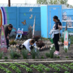 zeci de angajati ai penitenciarului pentru femei de la targsorul nou trimisi in fata comisiei de disciplina in urma unui control 686be8511eea8