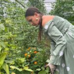 a construit un solar pentru ca familia sa manance sanatos si risca o amenda de 100 000 de lei nu mai stii daca esti gospodar sau infractor 6891cf08b7838