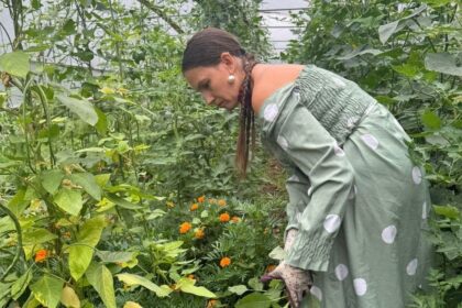 a construit un solar pentru ca familia sa manance sanatos si risca o amenda de 100 000 de lei nu mai stii daca esti gospodar sau infractor 6891cf08b7838