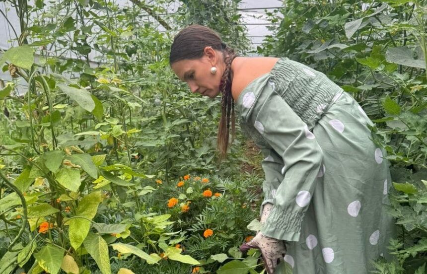 a construit un solar pentru ca familia sa manance sanatos si risca o amenda de 100 000 de lei nu mai stii daca esti gospodar sau infractor 6891cf08b7838