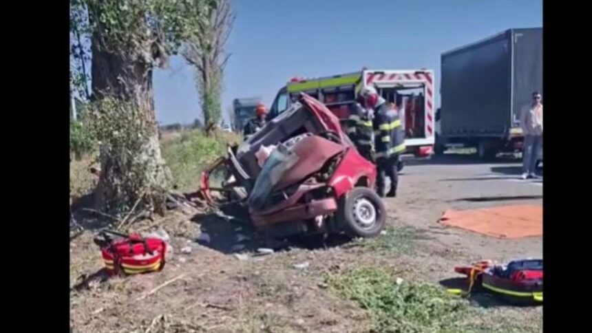 accident grav in ilfov doi barbati inconstienti dupa ce masina s a izbit de un copac 68af2a54d5b32