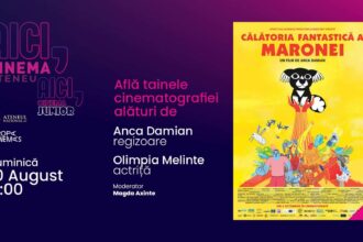 aici cinema junior 4 proiect de educatie cinematografica in cadrul sfr 16 6891a16862a50