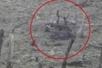 alerta in polonia o drona militara s a prabusit in estul tarii autoritatile de la varsovia suspecteaza o provocare rusa 68a5ea180bee4