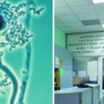alerta sanitara o bacterie extrem de periculoasa gasita in sala de operatie a unui mare spital din tara rata de mortalitate ridicata 68a80e78565c8