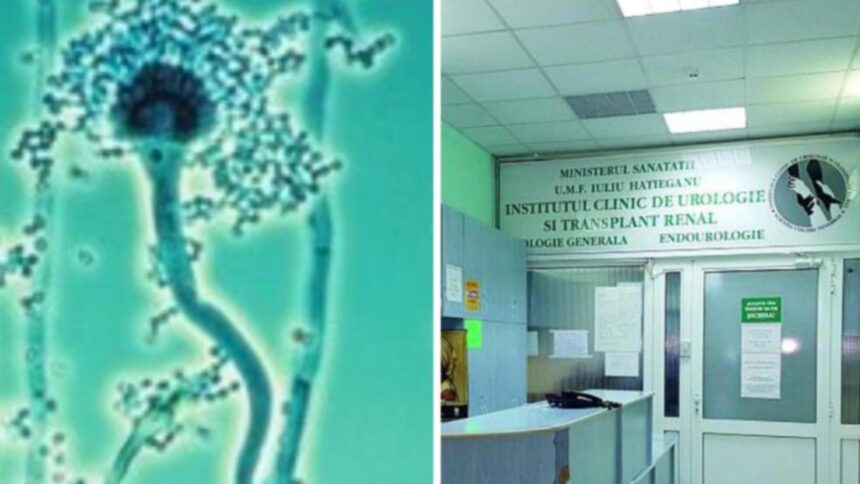 alerta sanitara o bacterie extrem de periculoasa gasita in sala de operatie a unui mare spital din tara rata de mortalitate ridicata 68a80e78565c8
