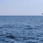 ambasadorul rusiei convocat la ministerul roman de externe dupa recentele atacuri asupra ucrainei o nava a fost distrusa chiar la gurile dunarii 68b1c5a45af72