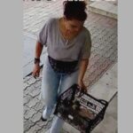 amenda de 3 000 de lei pentru o femeie filmata in timp ce abandoneaza mai multi pui de pisica in gaesti 68a44b2ded228