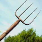 amenintari cu moartea la harlau barbat arestat dupa ce a amenintat doi politisti cu o furca si pietre 689fdc3327123