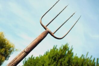 amenintari cu moartea la harlau barbat arestat dupa ce a amenintat doi politisti cu o furca si pietre 689fdc3327123