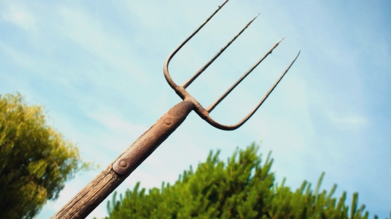 amenintari cu moartea la harlau barbat arestat dupa ce a amenintat doi politisti cu o furca si pietre 689fdc3327123