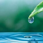 apa devine o moneda si va fi tot mai scumpa explicatia unui oficial cu privire la aceasta schimbare dramatica 68a6f17647f23