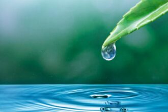 apa devine o moneda si va fi tot mai scumpa explicatia unui oficial cu privire la aceasta schimbare dramatica 68a6f17647f23