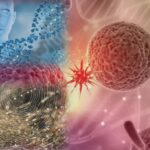 ar putea fi oprit cancerul prin mecanismele naturale ale organismului 68b2c96374253