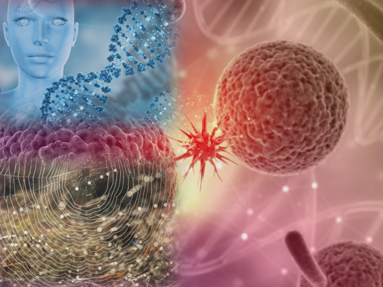 ar putea fi oprit cancerul prin mecanismele naturale ale organismului 68b2c96374253