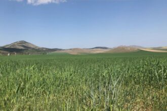 atentie fermieri se apropie termenul limita pentru vizarea carnetelor de renta viagera agricola detalii de la apia iasi 68a672aca3929