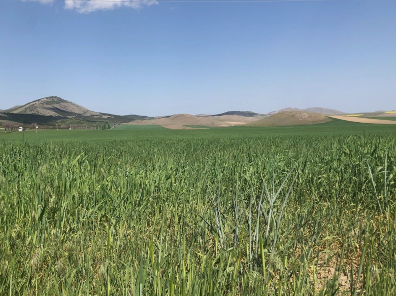 atentie fermieri se apropie termenul limita pentru vizarea carnetelor de renta viagera agricola detalii de la apia iasi 68a672aca3929