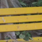 banci galbene de 120 000 de lei in comuna fara canalizare primarul se mandreste cu investitia 68a6dd9e5ed43