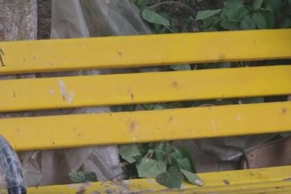 banci galbene de 120 000 de lei in comuna fara canalizare primarul se mandreste cu investitia 68a6dd9e5ed43