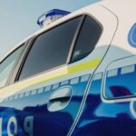 barbat prins in timp ce schingiuia o pisica intr o ghena de gunoi animalul a murit iar individul a ajuns in arest 68a95eb0b176a