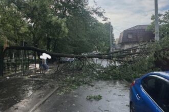 bilant igsu dupa furtunile care au lovit romania 3 oameni au murit 240 de copaci doborati de vant si 73 de masini avariate in 78 de localitati din 18 judete 68a983f3db38d