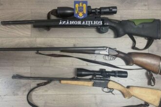 bistritean retinut dupa ce a impuscat ilegal un caprior el a fost prins in padure in timp ce transa animalul 689f47d5abb90